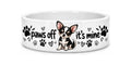 Chihuahua dog bowl