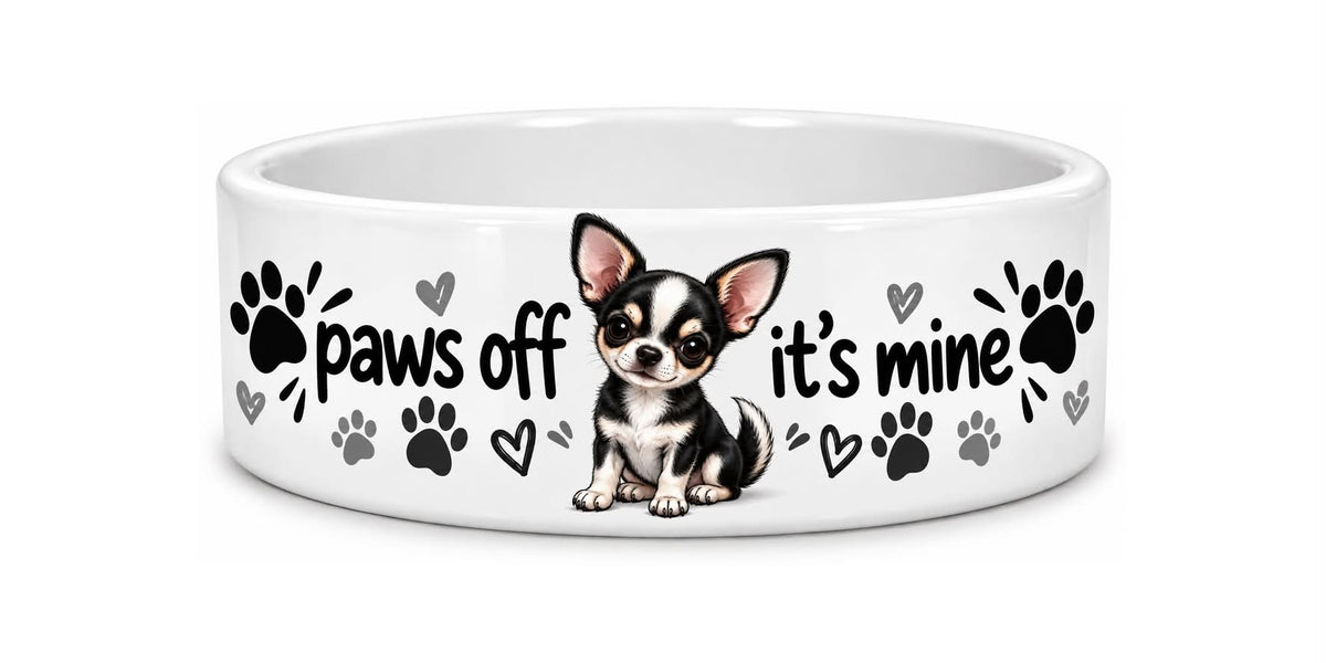 Chihuahua dog bowl