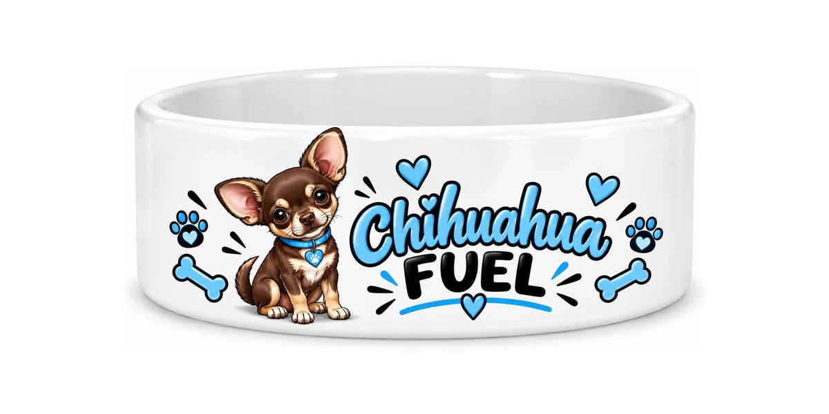 Chihauahua dog bowl