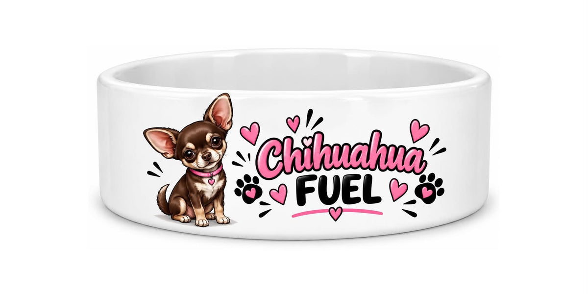 Chihuahua dog bowl
