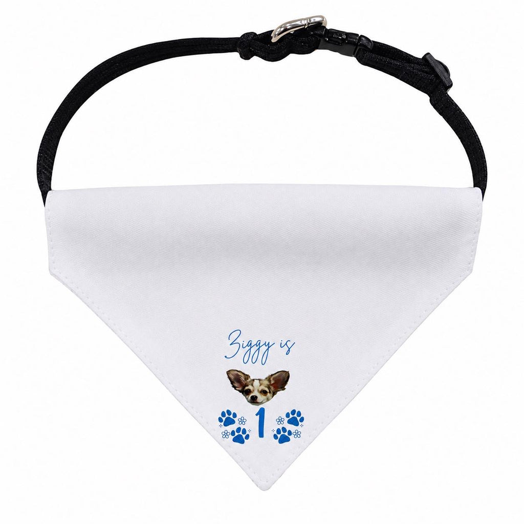 personalised birthday bandanna for toy breeds