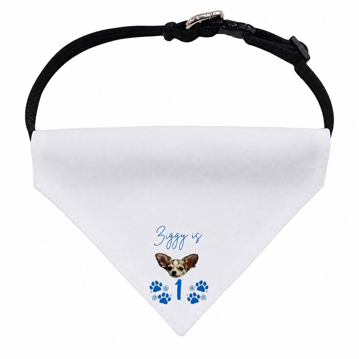 personalised birthday bandanna for toy breeds