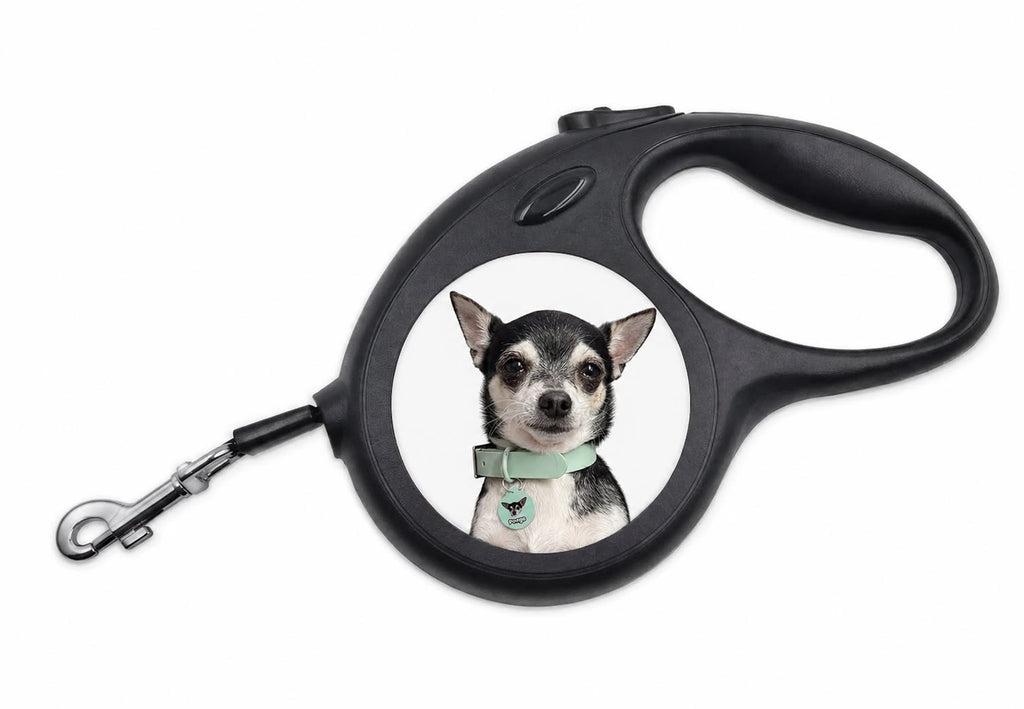 Dog / pet leads personalised