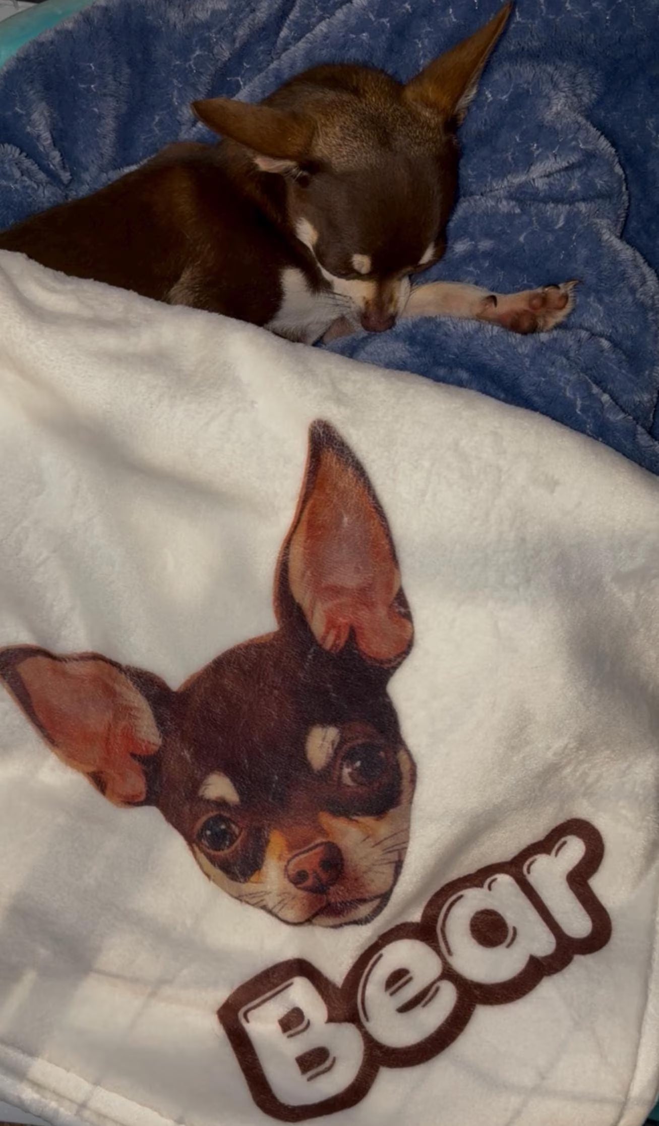 Personalised dog blanket with picture and name