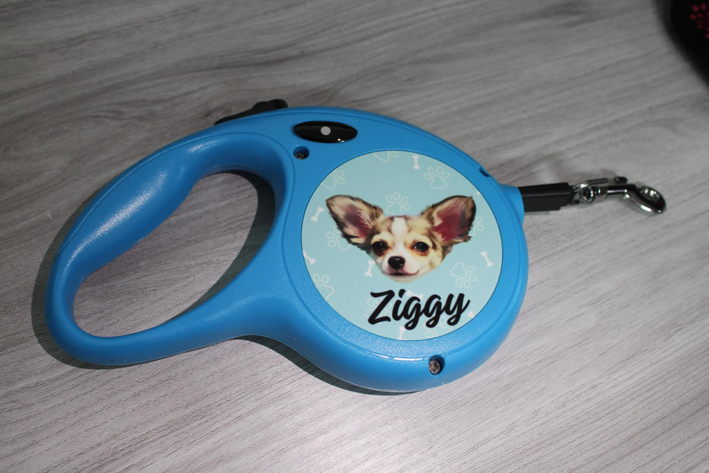 Dog / pet leads personalised