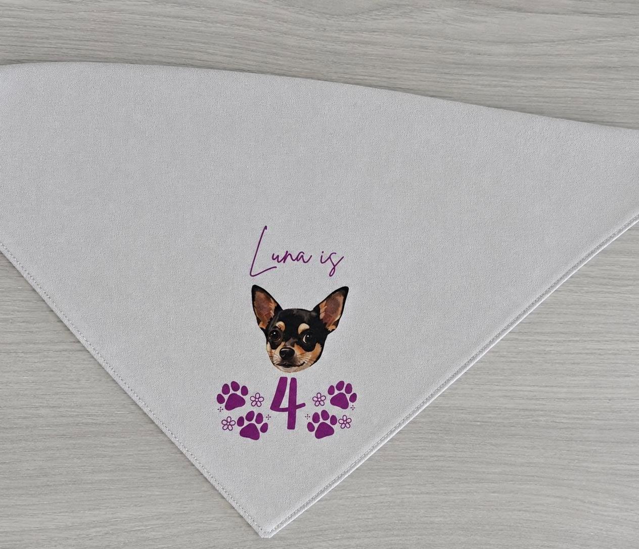 Dog/pet personalised birthday bandana.