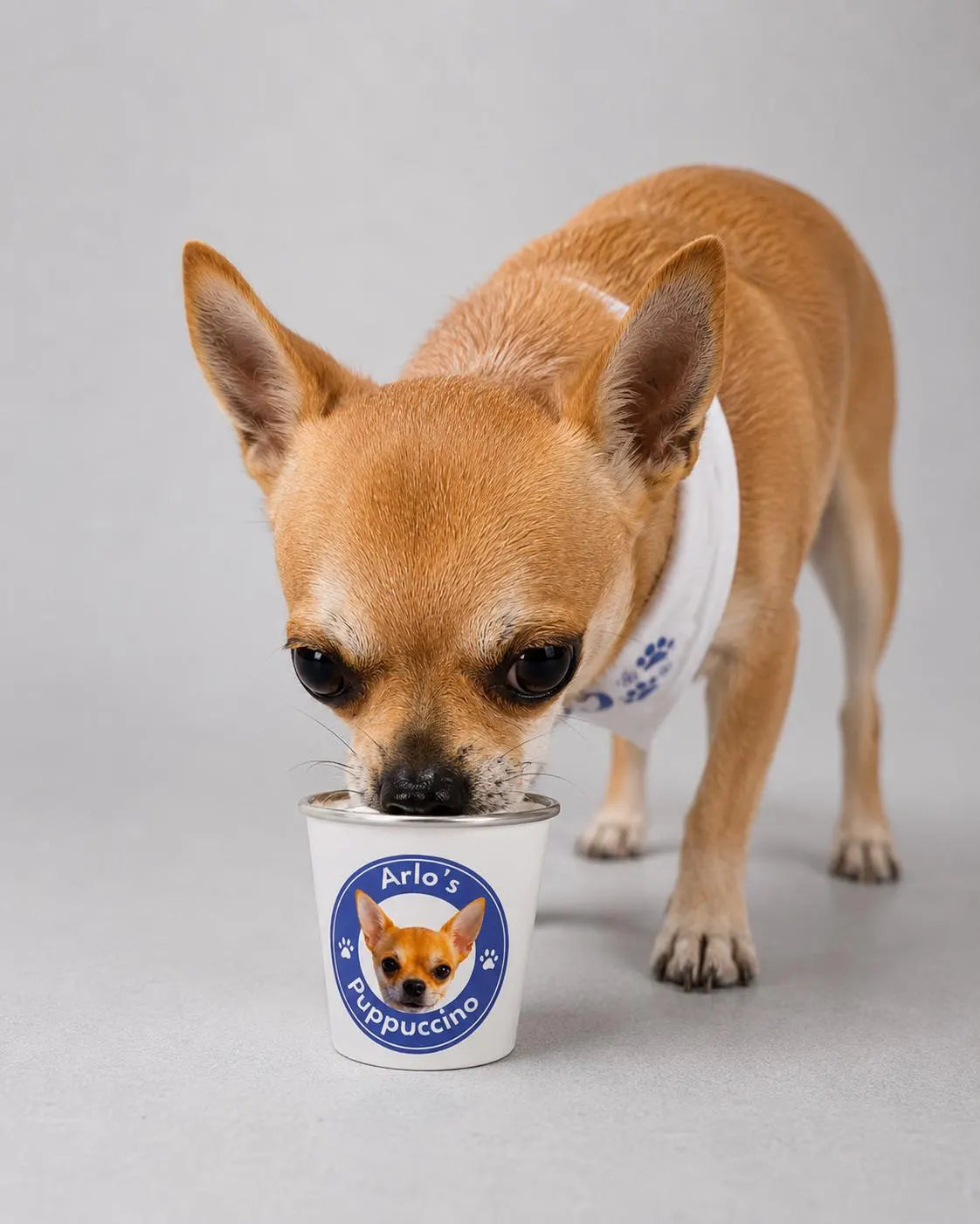 Personalised dog puppuccino cups. with your own dog as image.