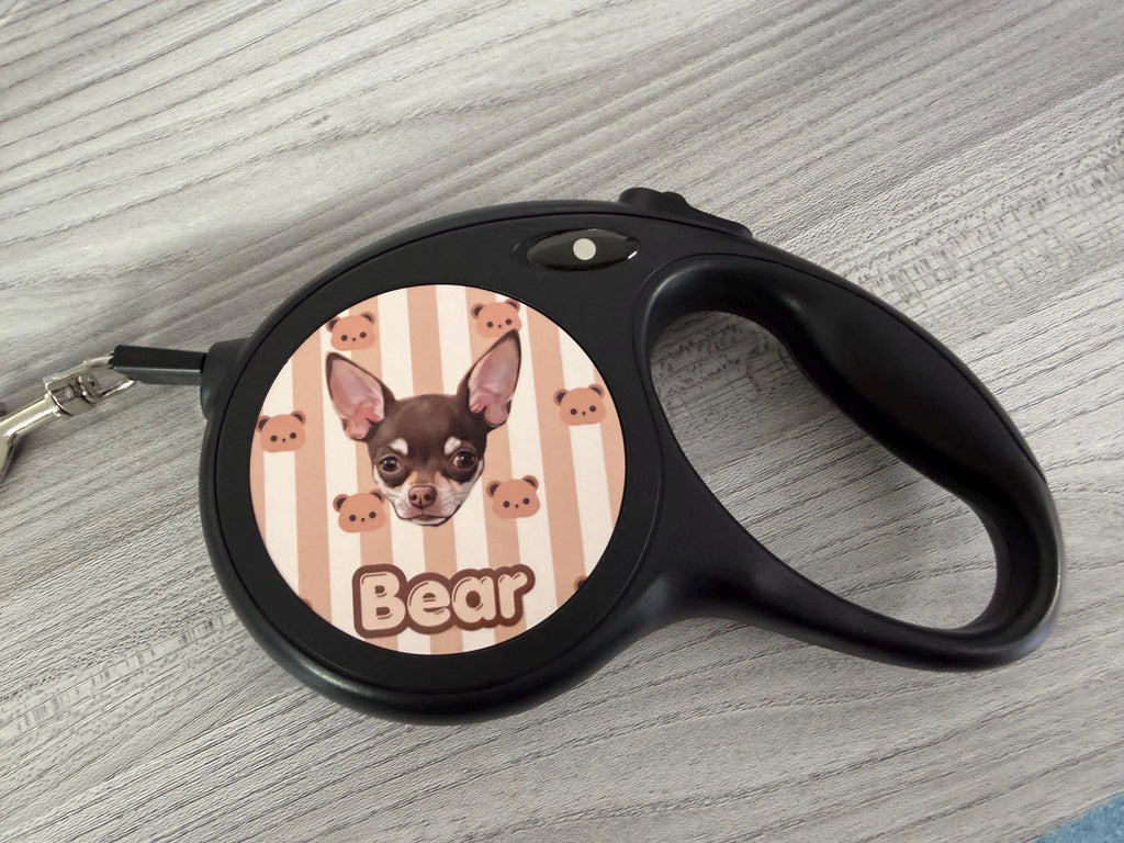 Dog / pet leads personalised