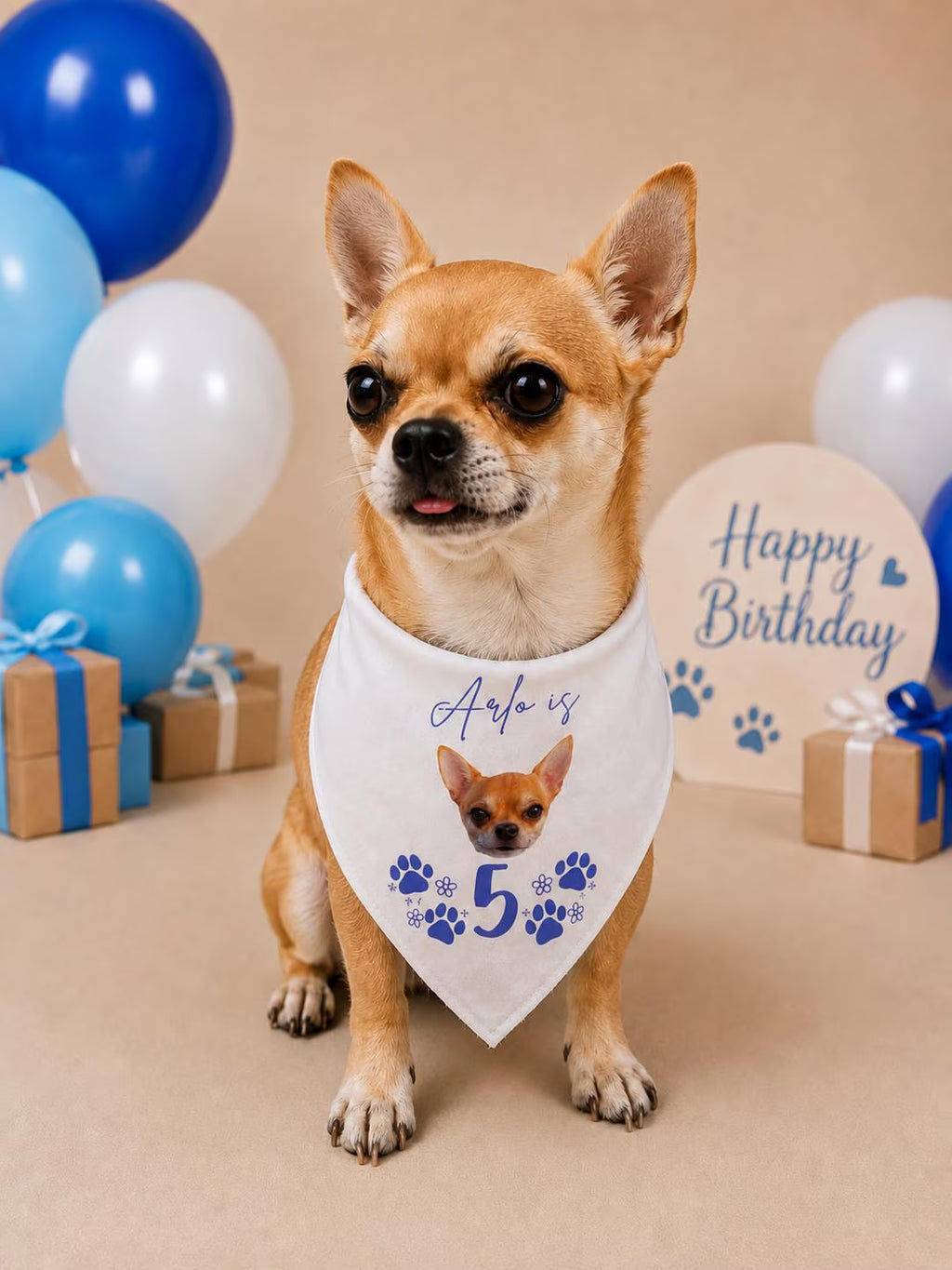 Dog/pet personalised birthday bandana.