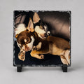 Personalised photo pet states